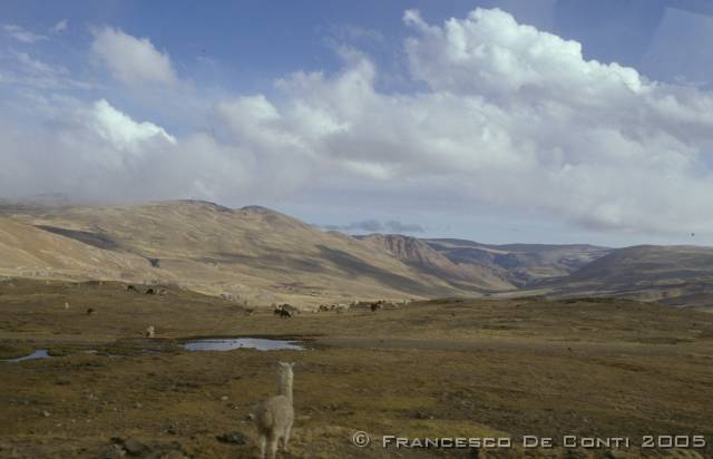 a_img137 Deserto di confine - Cordillera Apolobamba<br>Bolivia - 2003