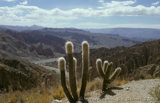 a_img185 El Sillar - Tupiza<br>Bolivia - 2003