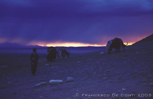 b_img134 Pioggia all'orizzonte - Kailash Kora<br>Tibet - 2000