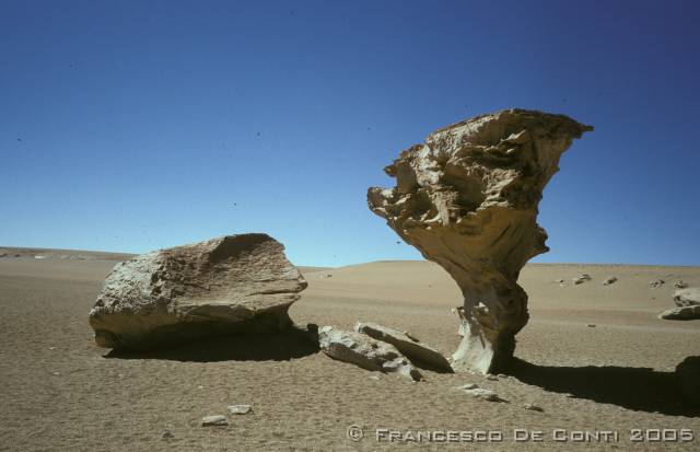 c_img266 Arbol de piedra - Salar de Uyuni<br>Bolivia - 1998