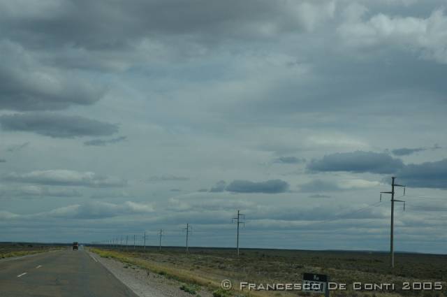 j_dsc_0311 Rettilinei patagonici<br>Argentina - 2004