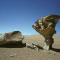 c_img266 Arbol de piedra - Salar de Uyuni