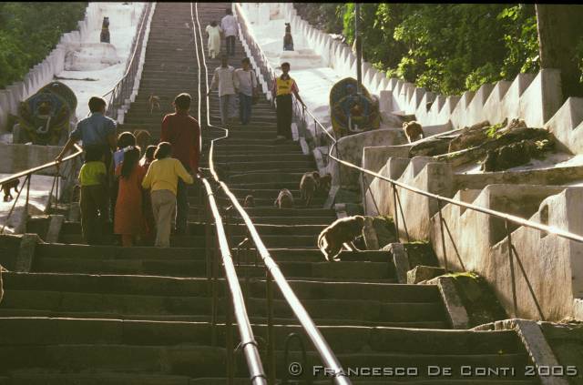 b_img022 Salita al tempio di Swayambunath<br>Nepal - 2000