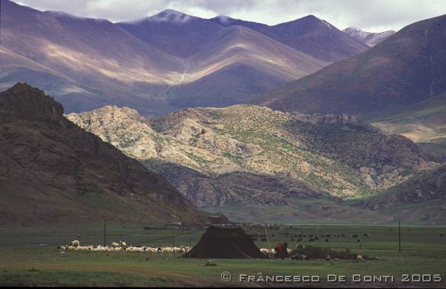 b_img150 Campo nomadi - Verso il Kailash<br>Tibet - 2000