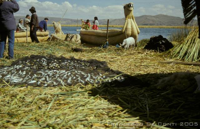 c_img132 Uros - Lago Titicaca<br>Bolivia - 1998